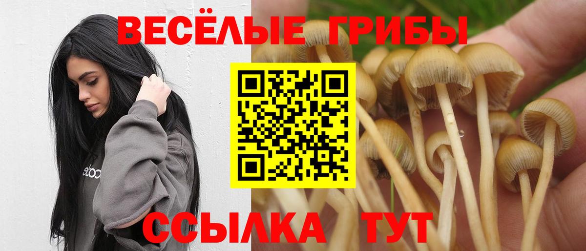 Ковров  Псилоцибиновые грибы прущие грибы  Вход с VPN  где продают   Галлюциногенные грибы MAGIC MUSHROOMS 